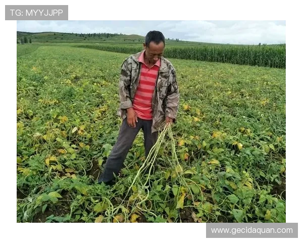 走过崩溃岁月学会接受艰难抉择